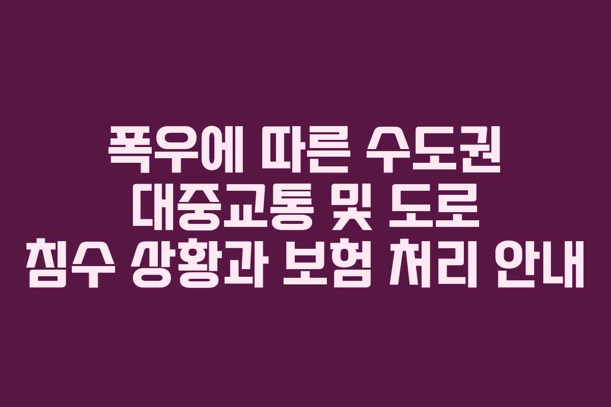 폭우에 따른 수도권 대중교통 및 도로 침수 상황과 보험 처리 안내