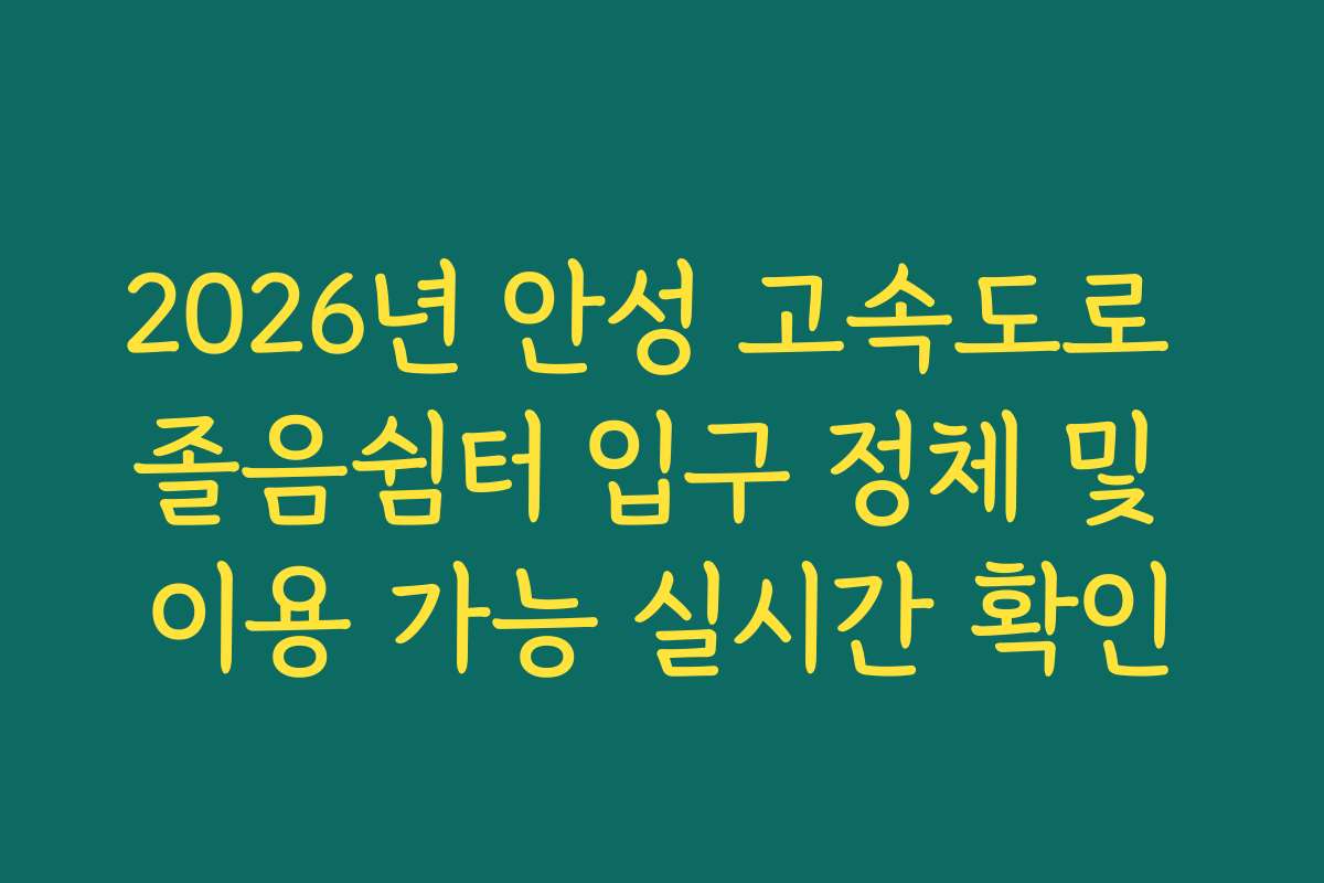 2026년 안성 고속도로 졸음쉼터 입구 정체 및 이용 가능 실시간 확인