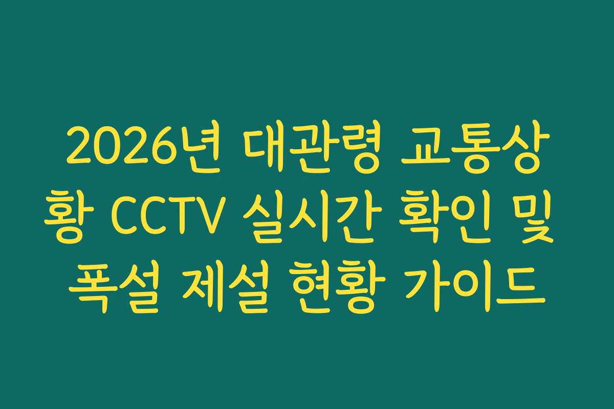 2026년 대관령 교통상황 CCTV 실시간 확인 및 폭설 제설 현황 가이드