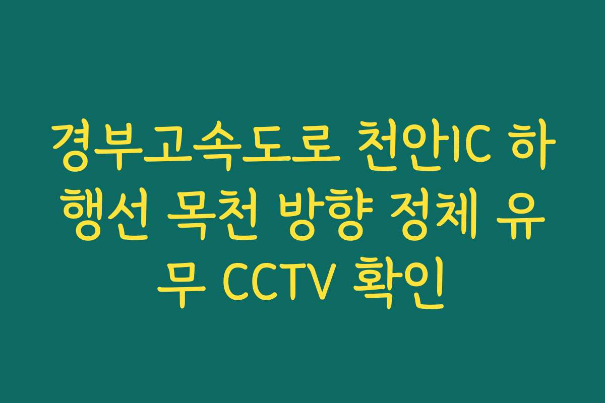 경부고속도로 천안IC 하행선 목천 방향 정체 유무 CCTV 확인
