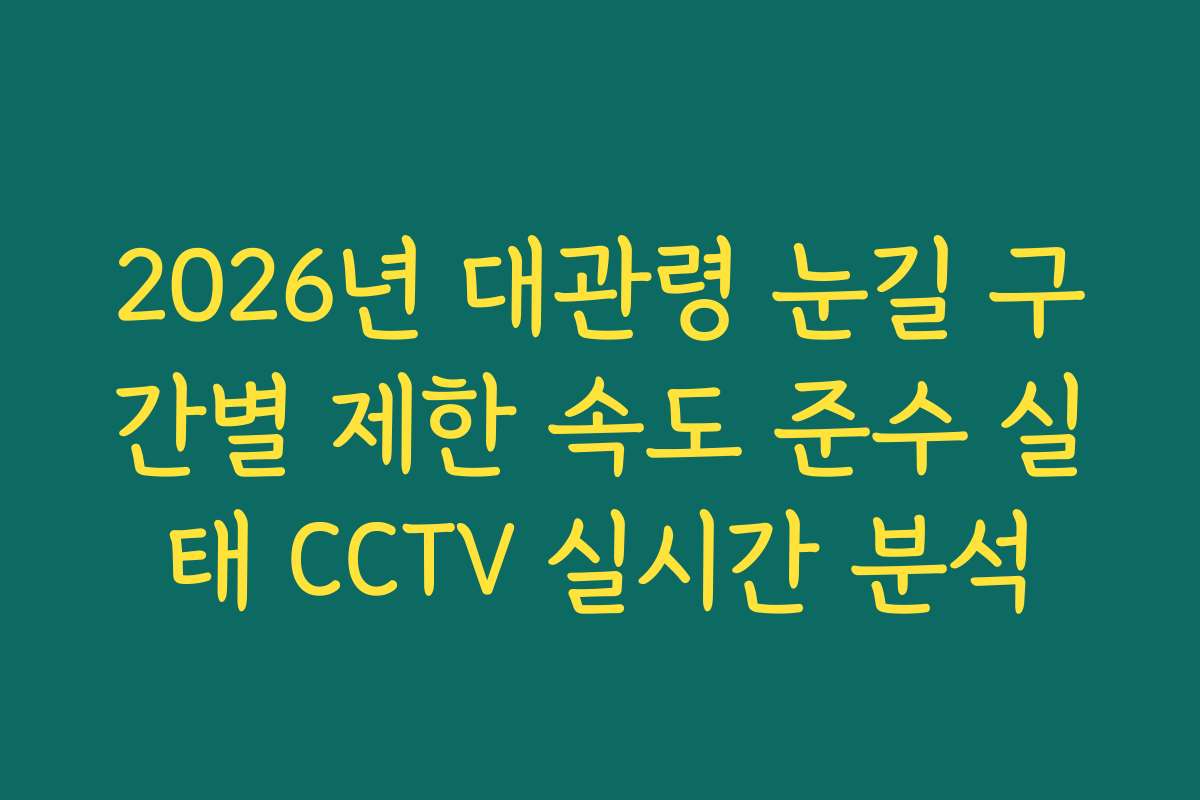 2026년 대관령 눈길 구간별 제한 속도 준수 실태 CCTV 실시간 분석