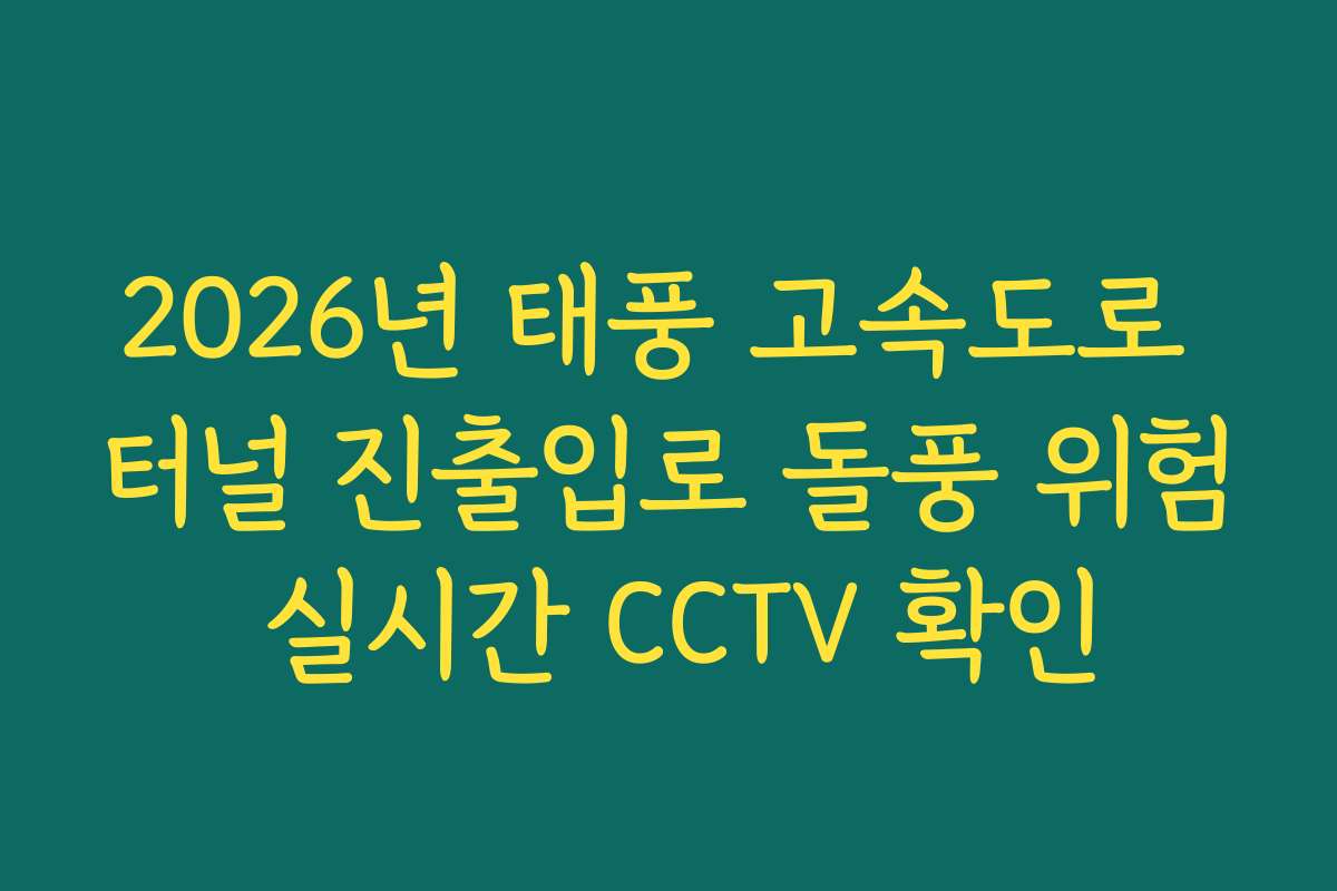 2026년 태풍 고속도로 터널 진출입로 돌풍 위험 실시간 CCTV 확인
