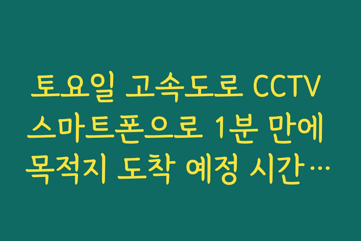 토요일 고속도로 CCTV 스마트폰으로 1분 만에 목적지 도착 예정 시간 대조 토요일 고속도로 CCTV 스마트폰으로 1분 만에 목적지 도착 예정 시간 대조