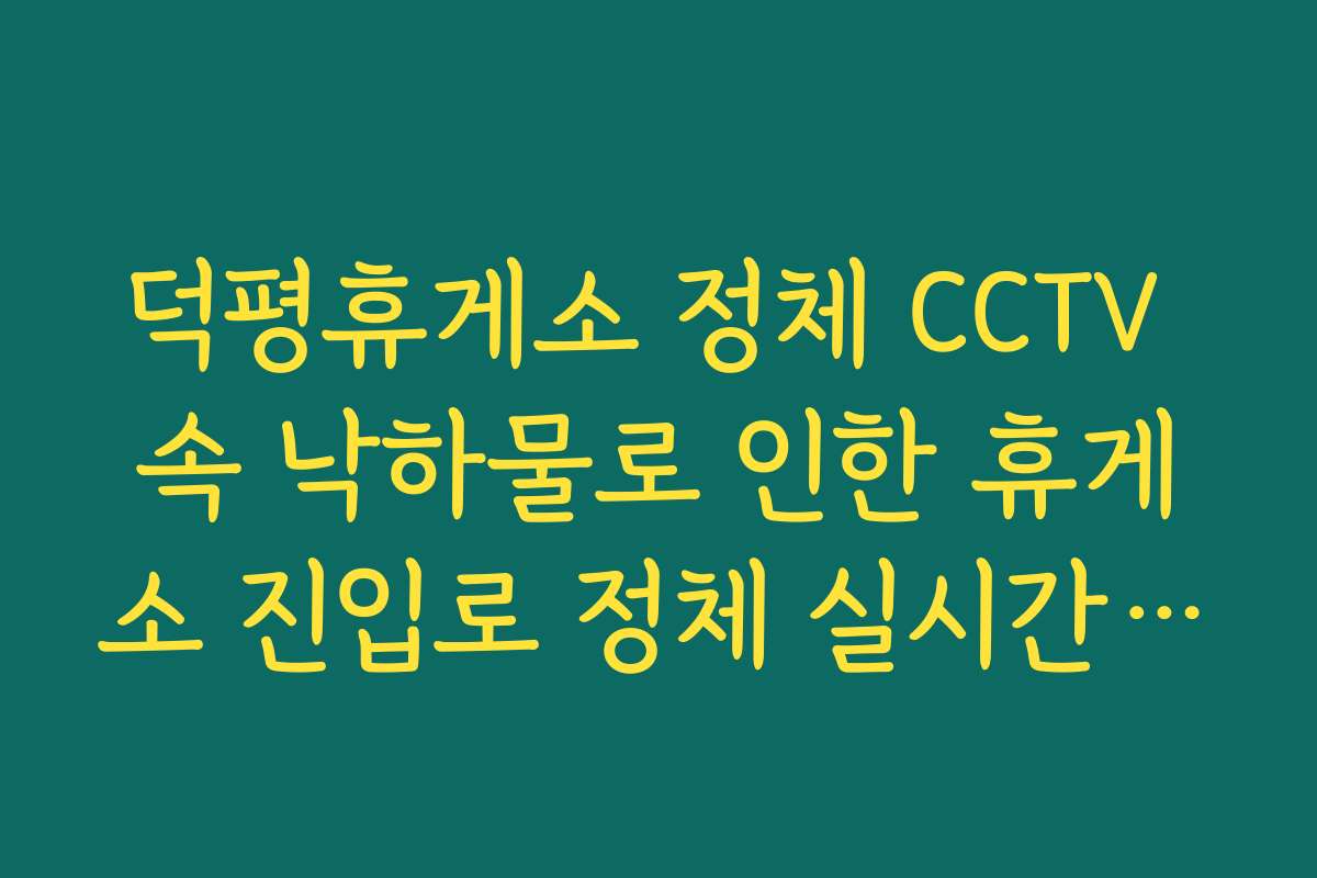 덕평휴게소 정체 CCTV 속 낙하물로 인한 휴게소 진입로 정체 실시간 확인 덕평휴게소 정체 CCTV 속 낙하물로 인한 휴게소 진입로 정체 실시간 확인