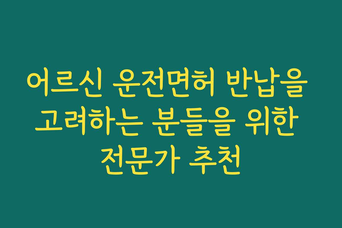 어르신 운전면허 반납을 고려하는 분들을 위한 전문가 추천
