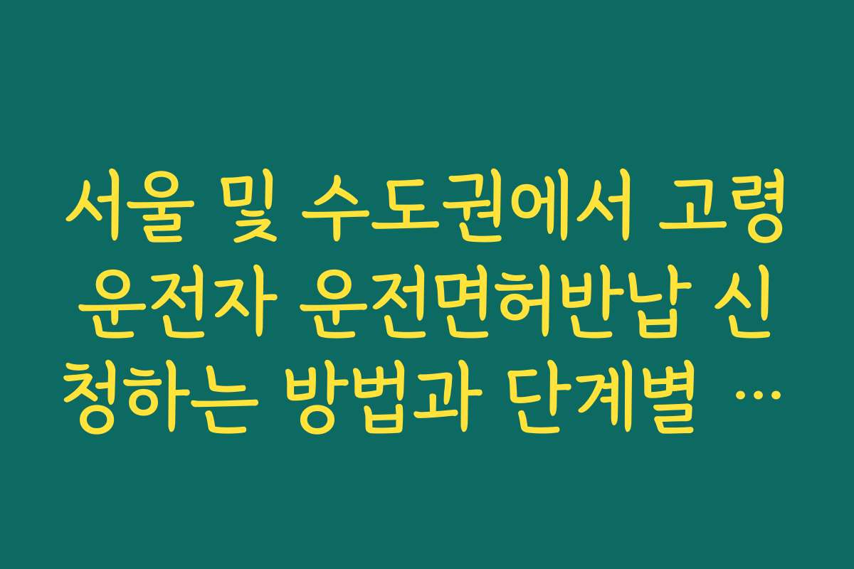 서울 및 수도권에서 고령운전자 운전면허반납 신청하는 방법과 단계별 안내