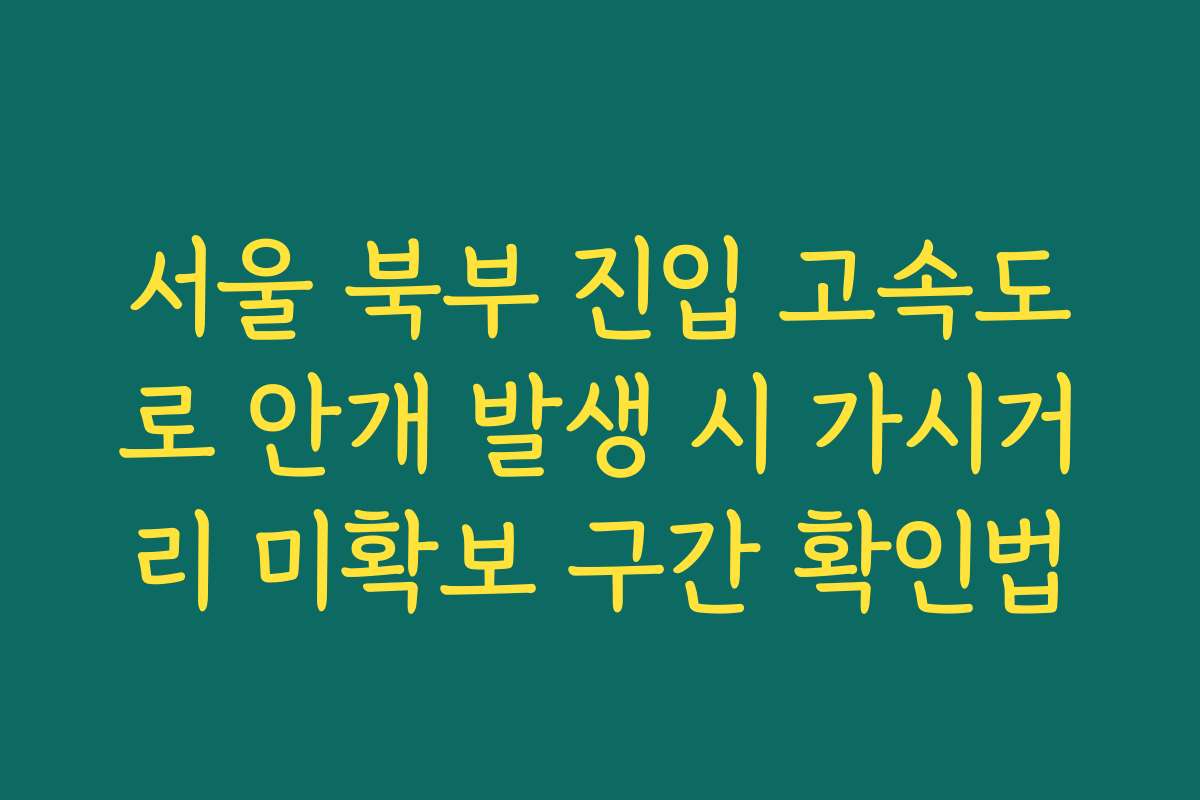 서울 북부 진입 고속도로 안개 발생 시 가시거리 미확보 구간 확인법