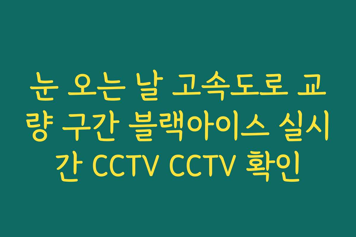 눈 오는 날 고속도로 교량 구간 블랙아이스 실시간 CCTV CCTV 확인