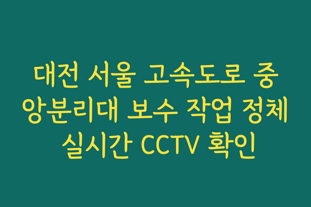 대전 서울 고속도로 중앙분리대 보수 작업 정체 실시간 CCTV 확인