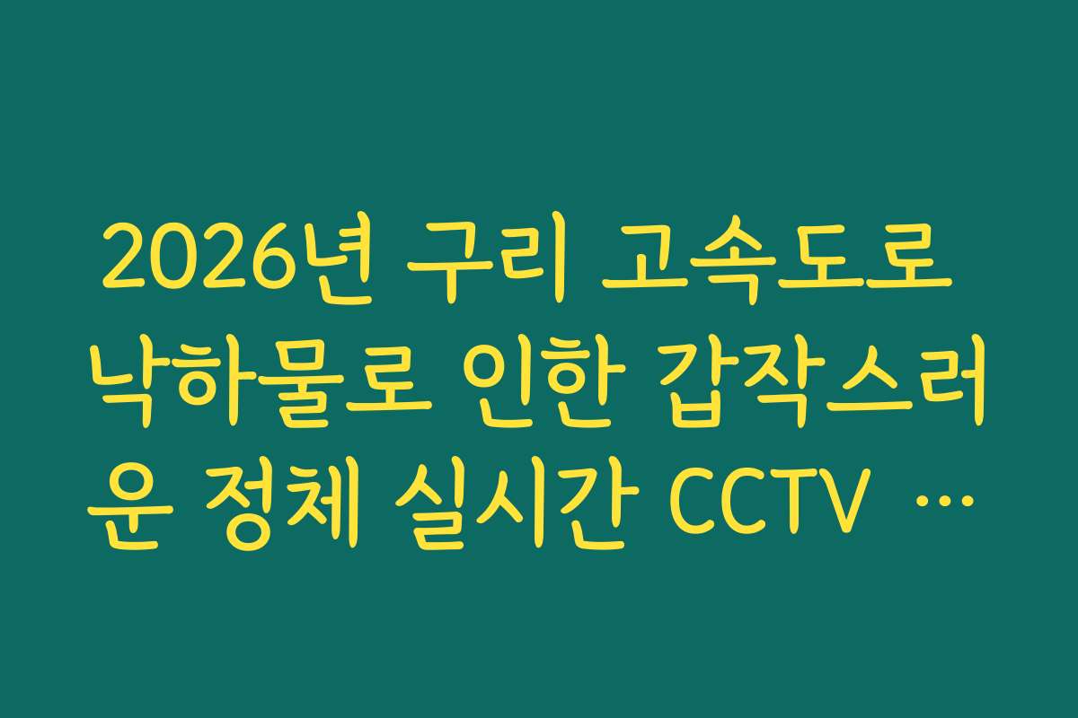 2026년 구리 고속도로 낙하물로 인한 갑작스러운 정체 실시간 CCTV 확인 2026년 구리 고속도로 낙하물로 인한 갑작스러운 정체 실시간 CCTV 확인