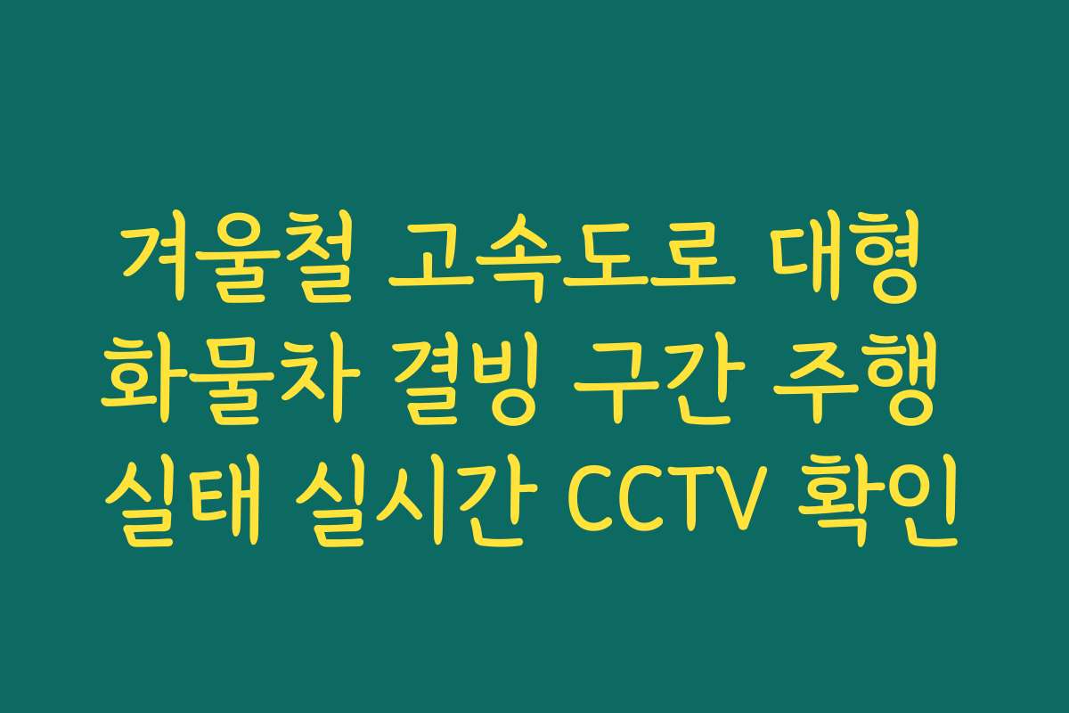겨울철 고속도로 대형 화물차 결빙 구간 주행 실태 실시간 CCTV 확인