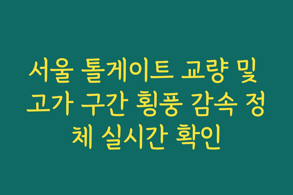 서울 톨게이트 교량 및 고가 구간 횡풍 감속 정체 실시간 확인 서울 톨게이트 교량 및 고가 구간 횡풍 감속 정체 실시간 확인