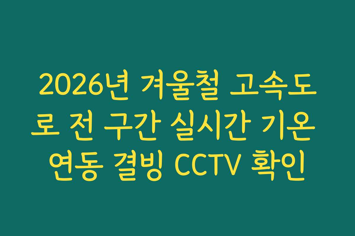 2026년 겨울철 고속도로 전 구간 실시간 기온 연동 결빙 CCTV 확인