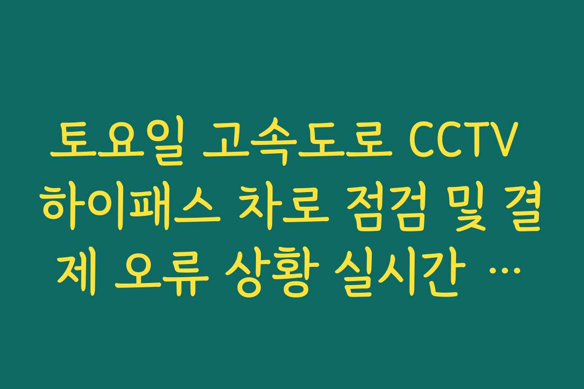 토요일 고속도로 CCTV 하이패스 차로 점검 및 결제 오류 상황 실시간 보기