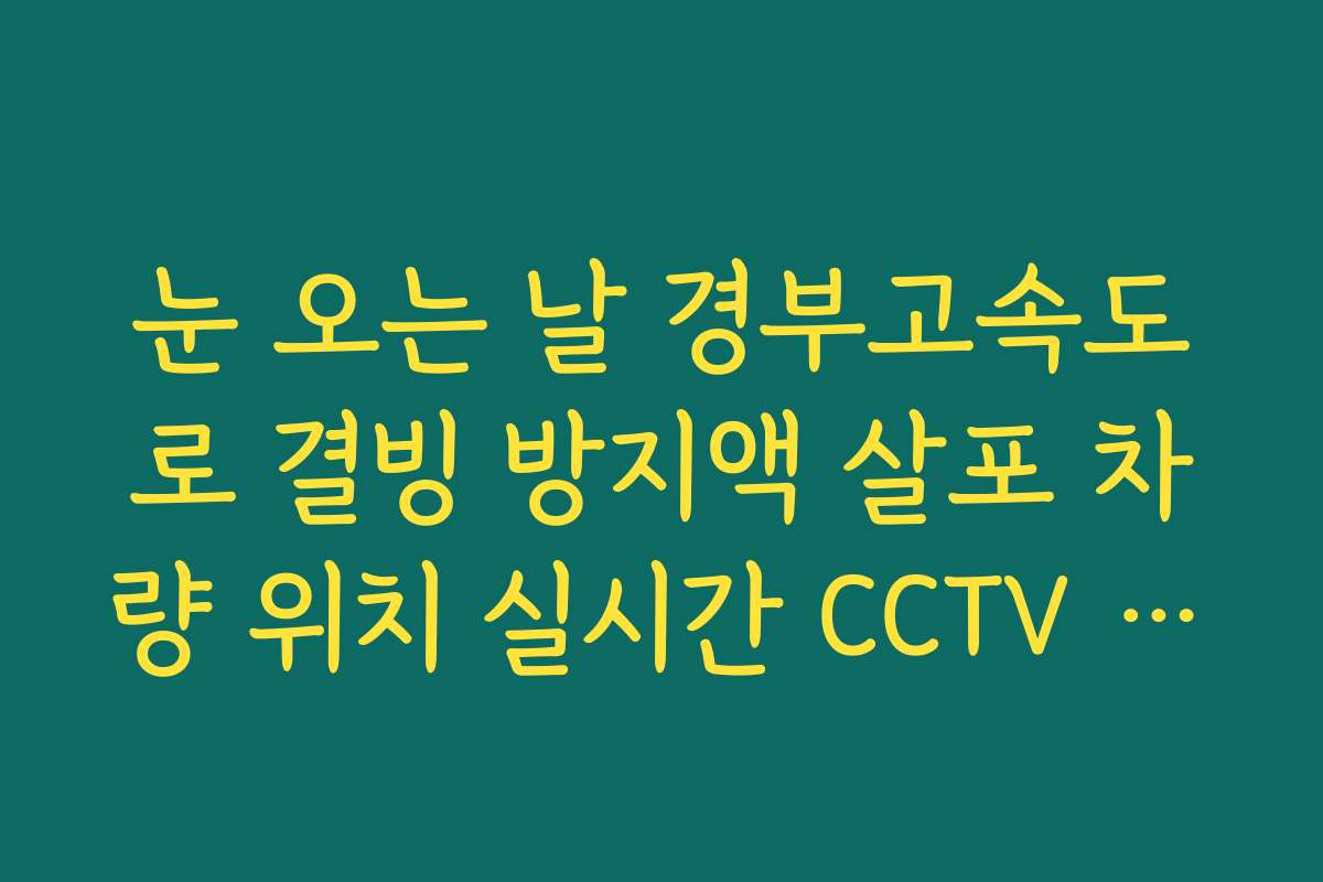 눈 오는 날 경부고속도로 결빙 방지액 살포 차량 위치 실시간 CCTV 확인 눈 오는 날 경부고속도로 결빙 방지액 살포 차량 위치 실시간 CCTV 확인