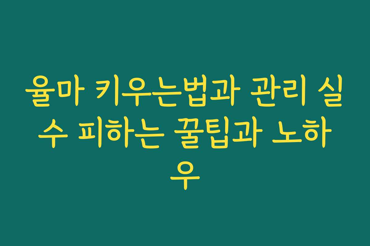 율마 키우는법과 관리 실수 피하는 꿀팁과 노하우
