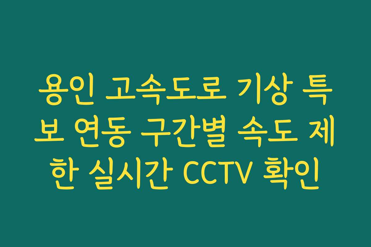 용인 고속도로 기상 특보 연동 구간별 속도 제한 실시간 CCTV 확인 용인 고속도로 기상 특보 연동 구간별 속도 제한 실시간 CCTV 확인