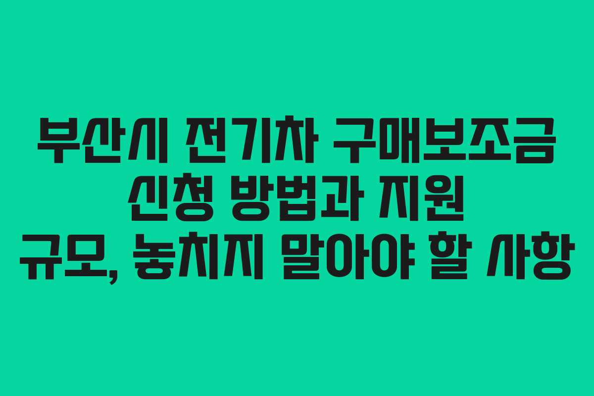 부산시 전기차 구매보조금 신청 방법과 지원 규모, 놓치지 말아야 할 사항