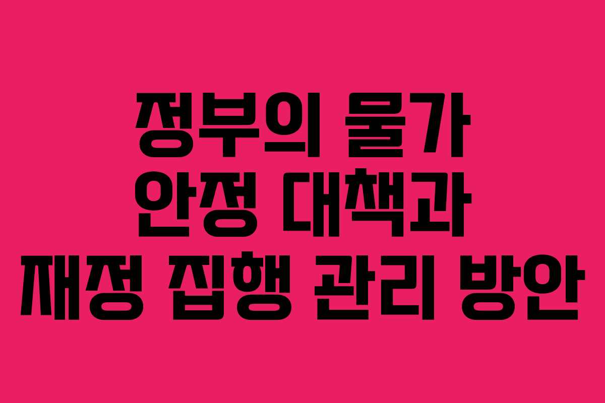 정부의 물가 안정 대책과 재정 집행 관리 방안