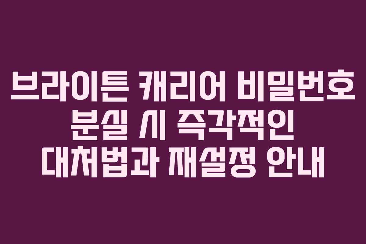 브라이튼 캐리어 비밀번호 분실 시 즉각적인 대처법과 재설정 안내