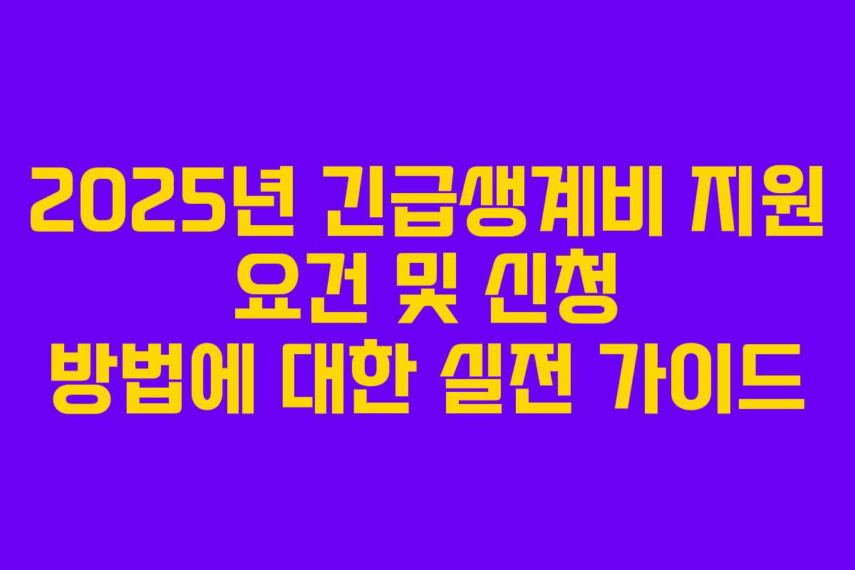 2025년 긴급생계비 지원 요건 및 신청 방법에 대한 실전 가이드 2025년 긴급생계비 지원 요건 및 신청 방법에 대한 실전 가이드