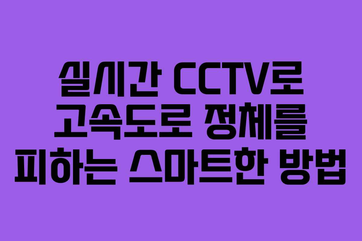 실시간 CCTV로 고속도로 정체를 피하는 스마트한 방법 실시간 CCTV로 고속도로 정체를 피하는 스마트한 방법