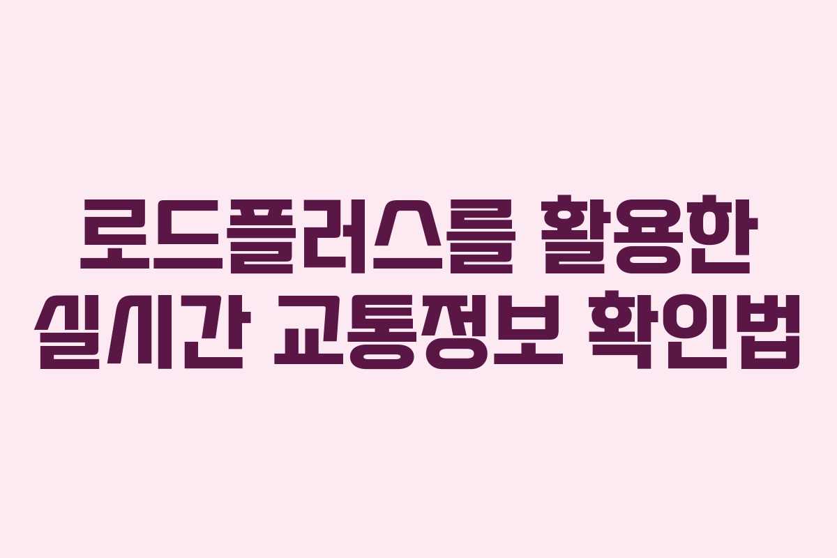 로드플러스를 활용한 실시간 교통정보 확인법