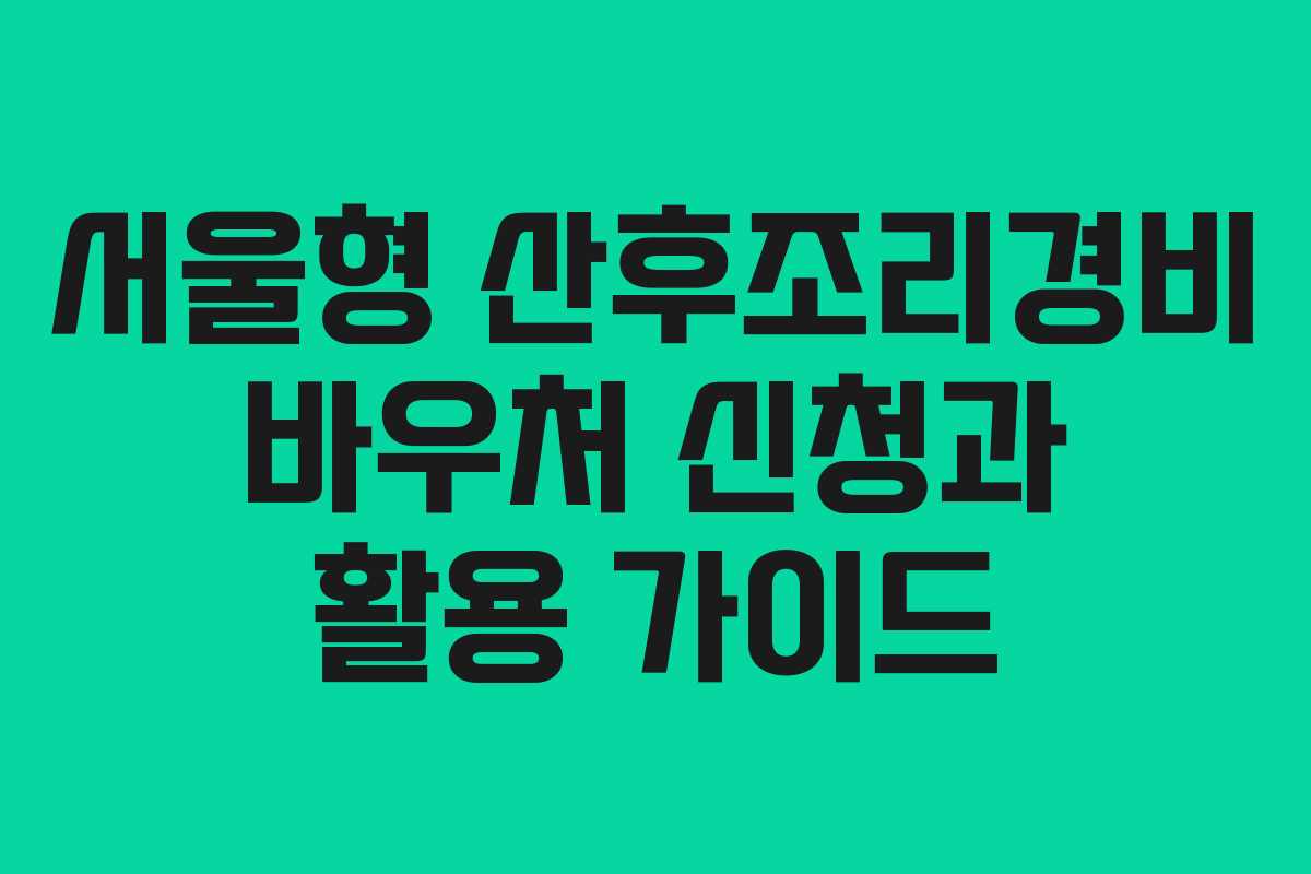 서울형 산후조리경비 바우처 신청과 활용 가이드