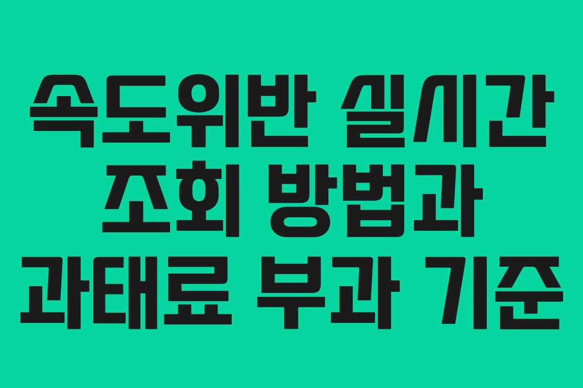 속도위반 실시간 조회 방법과 과태료 부과 기준