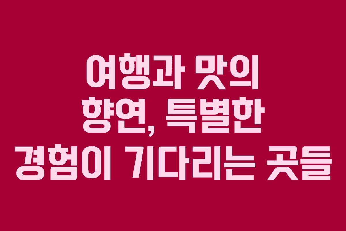 여행과 맛의 향연, 특별한 경험이 기다리는 곳들