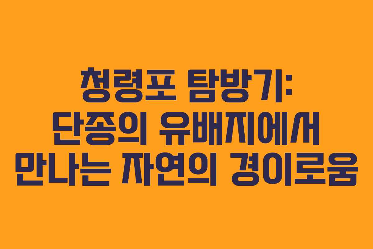 청령포 탐방기: 단종의 유배지에서 만나는 자연의 경이로움
