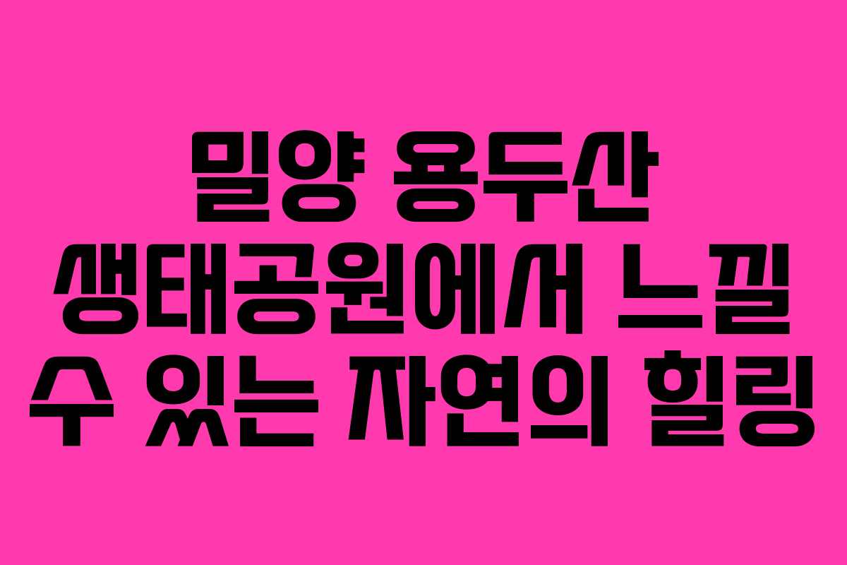 밀양 용두산 생태공원에서 느낄 수 있는 자연의 힐링