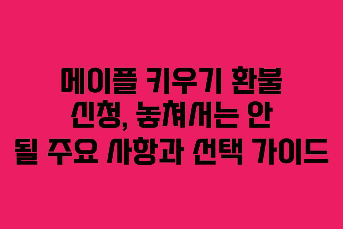 메이플 키우기 환불 신청, 놓쳐서는 안 될 주요 사항과 선택 가이드