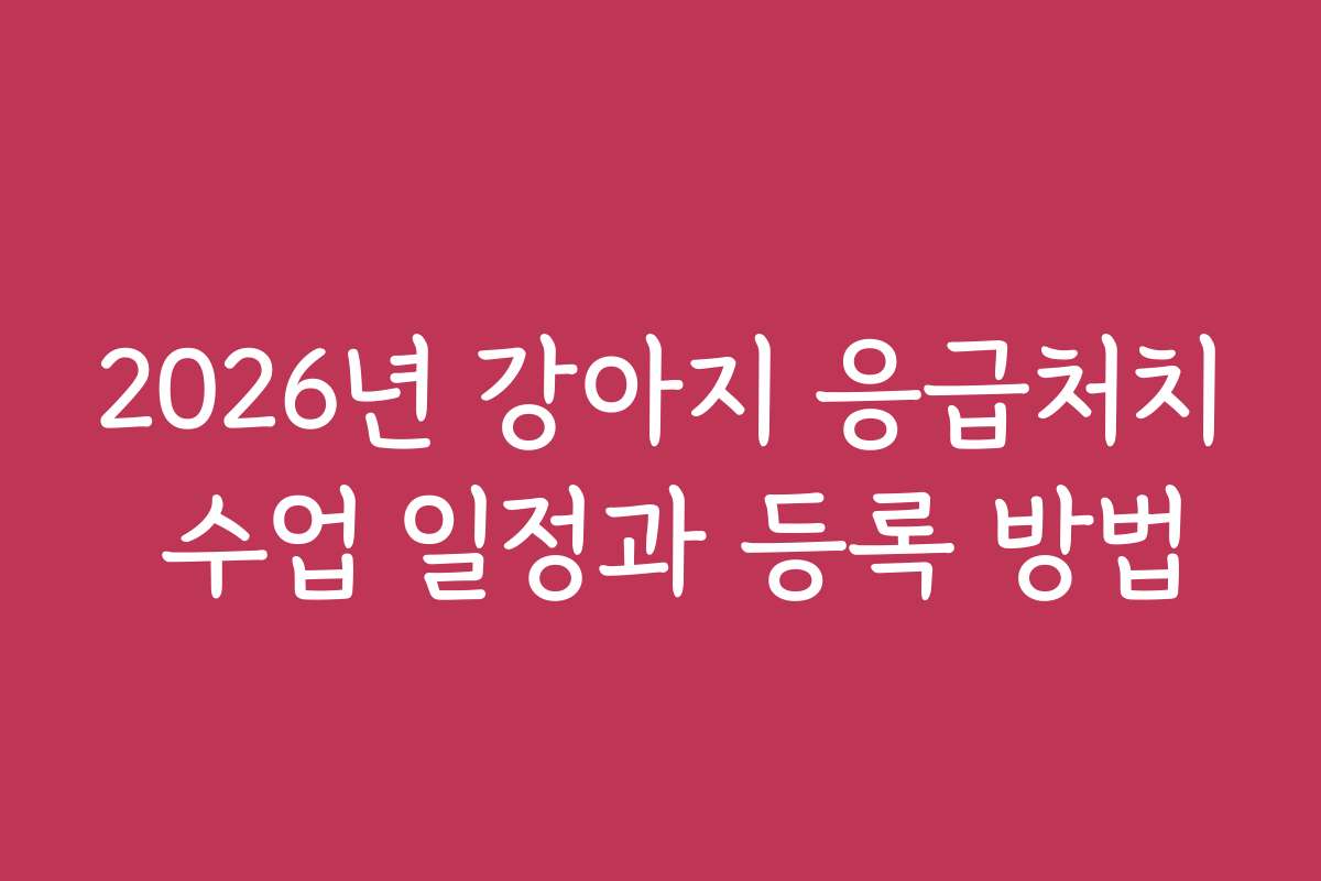 2026년 강아지 응급처치 수업 일정과 등록 방법