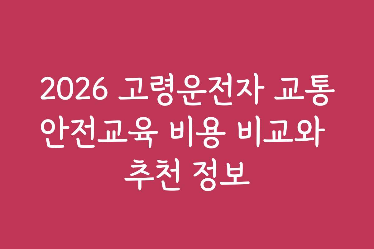 2026 고령운전자 교통안전교육 비용 비교와 추천 정보