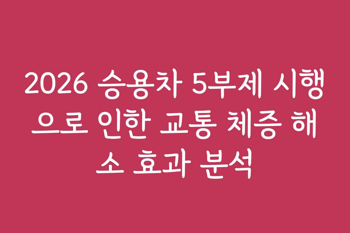 2026 승용차 5부제 시행으로 인한 교통 체증 해소 효과 분석