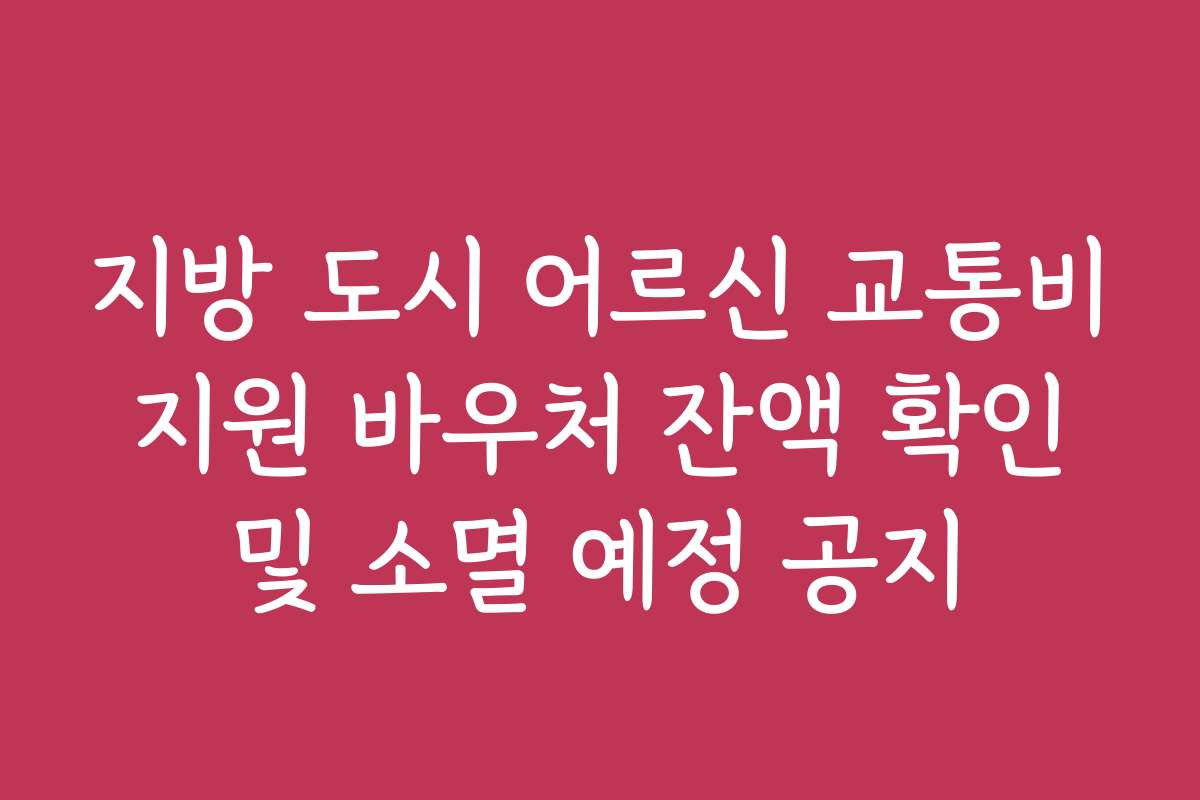 지방 도시 어르신 교통비 지원 바우처 잔액 확인 및 소멸 예정 공지