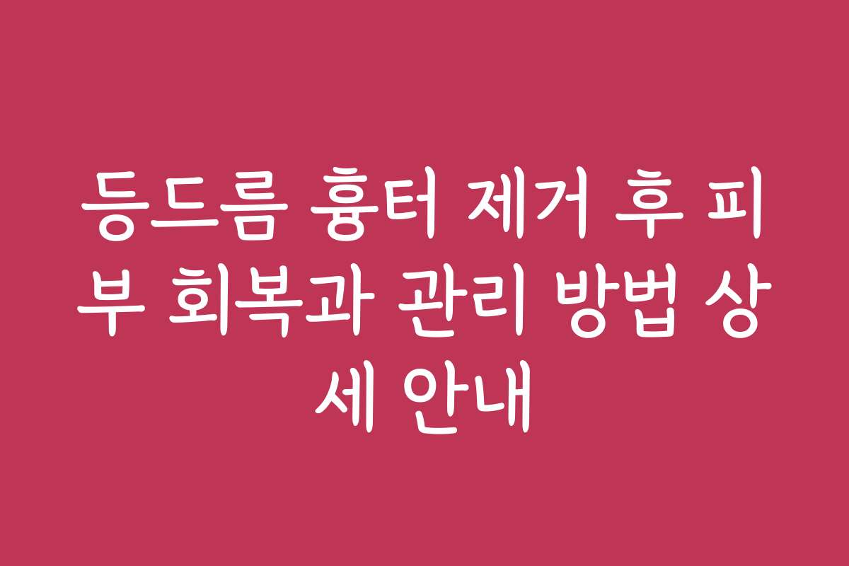 등드름 흉터 제거 후 피부 회복과 관리 방법 상세 안내