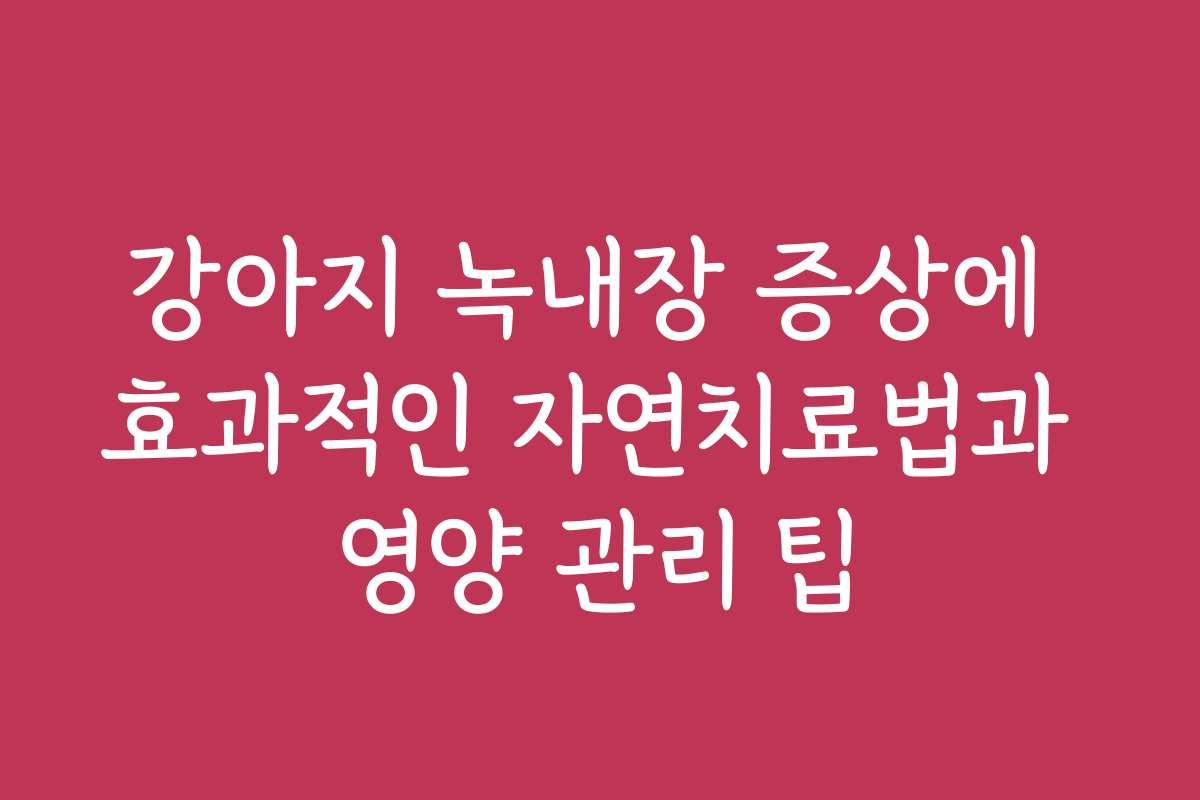 강아지 녹내장 증상에 효과적인 자연치료법과 영양 관리 팁