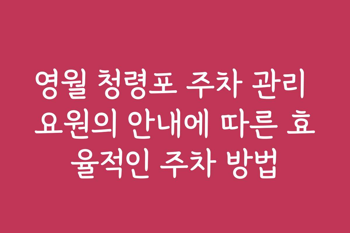 영월 청령포 주차 관리 요원의 안내에 따른 효율적인 주차 방법