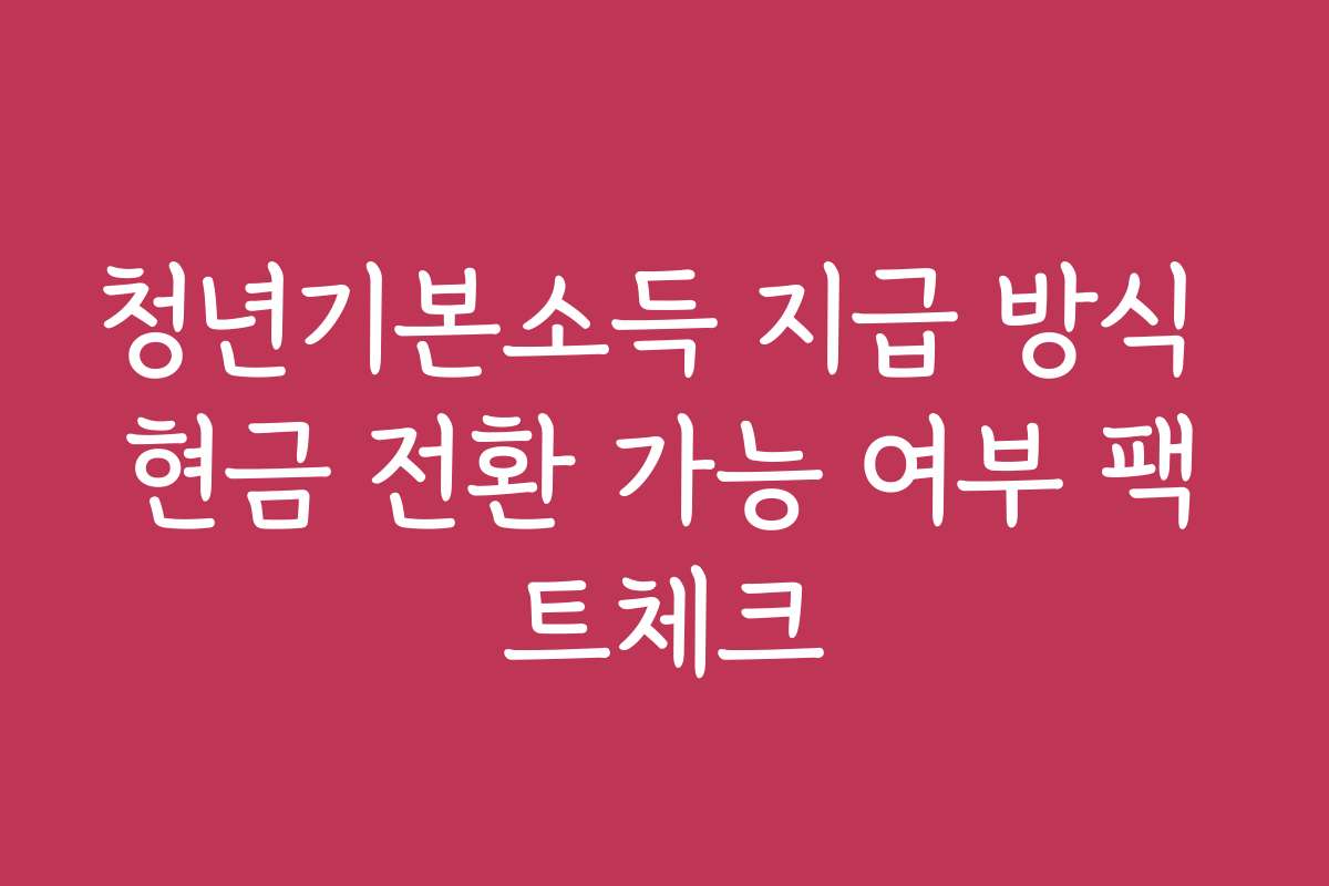 청년기본소득 지급 방식 현금 전환 가능 여부 팩트체크
