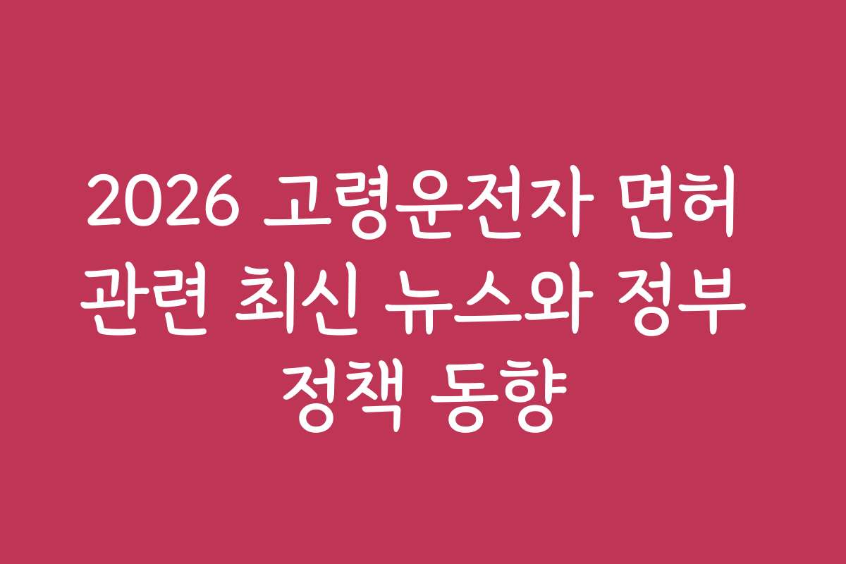 2026 고령운전자 면허 관련 최신 뉴스와 정부 정책 동향