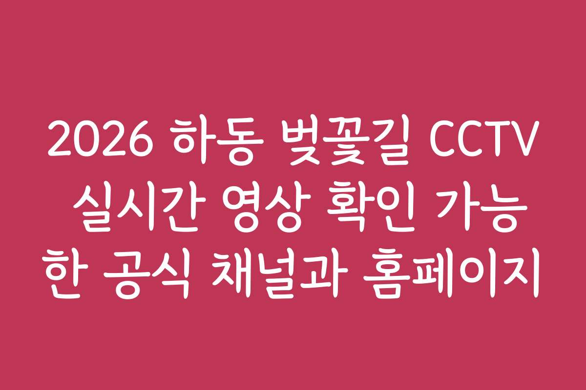 2026 하동 벚꽃길 CCTV 실시간 영상 확인 가능한 공식 채널과 홈페이지