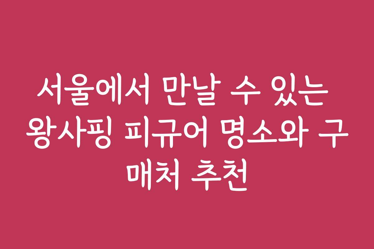 서울에서 만날 수 있는 왕사핑 피규어 명소와 구매처 추천