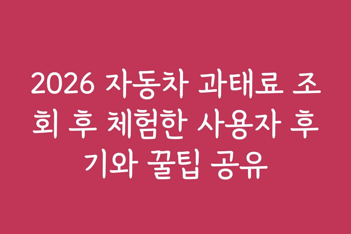 2026 자동차 과태료 조회 후 체험한 사용자 후기와 꿀팁 공유