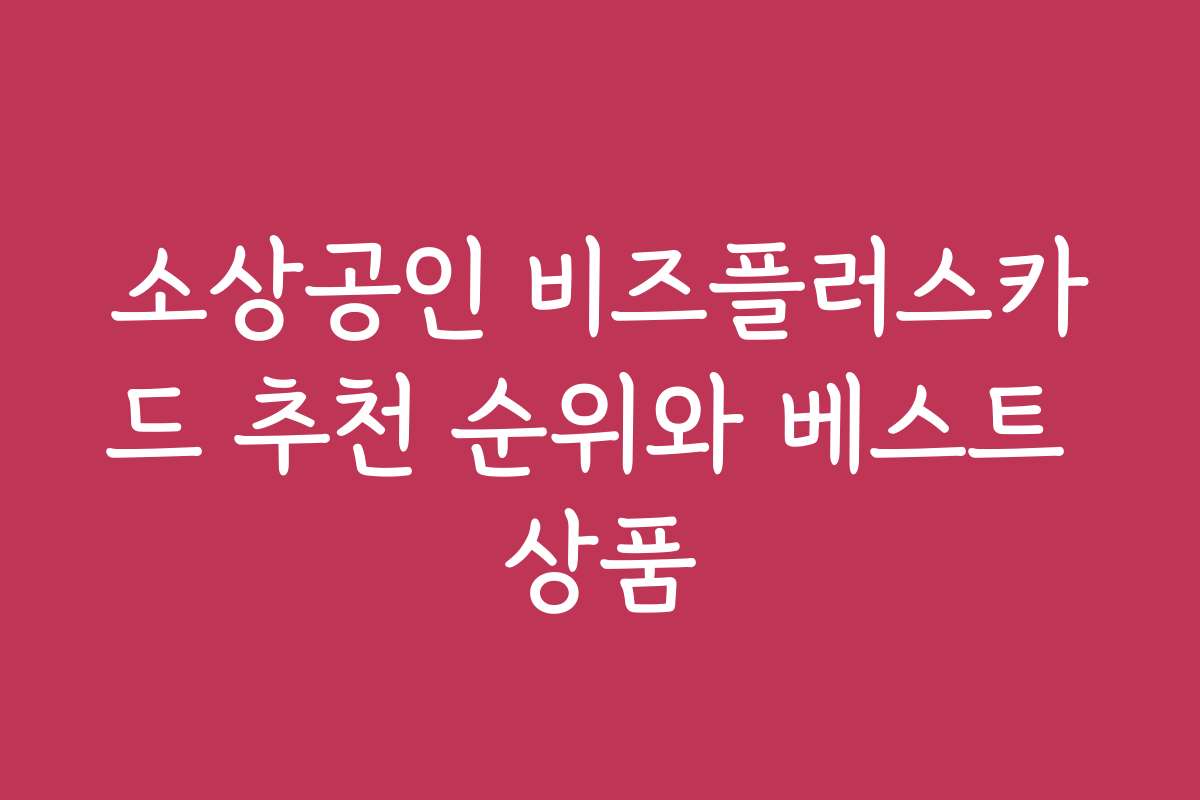 소상공인 비즈플러스카드 추천 순위와 베스트 상품