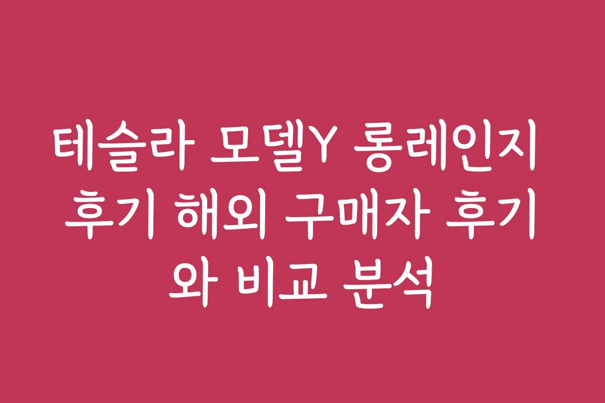 테슬라 모델Y 롱레인지 후기 해외 구매자 후기와 비교 분석