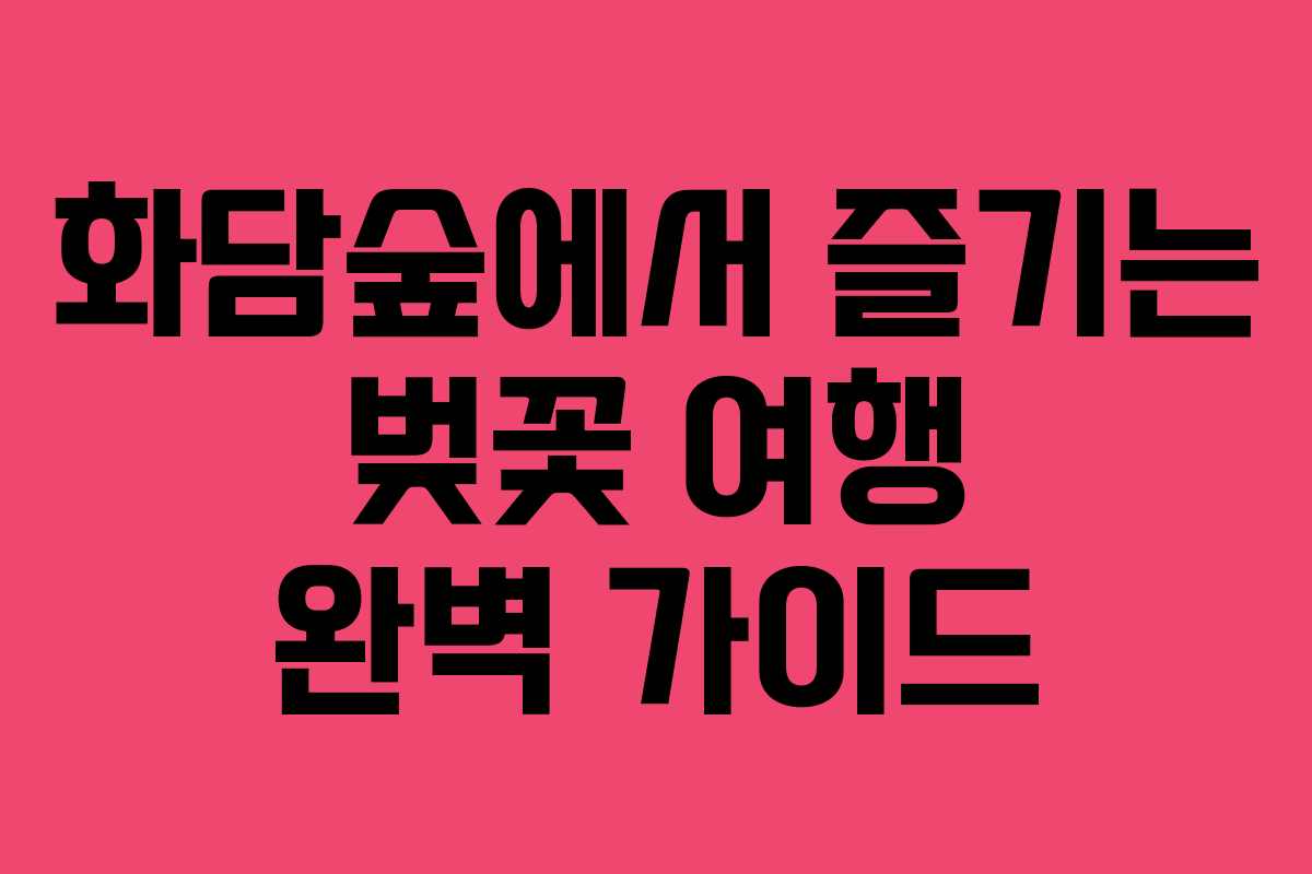 화담숲에서 즐기는 벚꽃 여행 완벽 가이드
