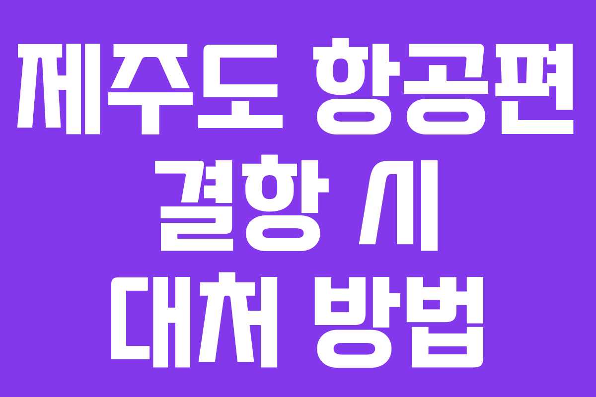 제주도 항공편 결항 시 대처 방법