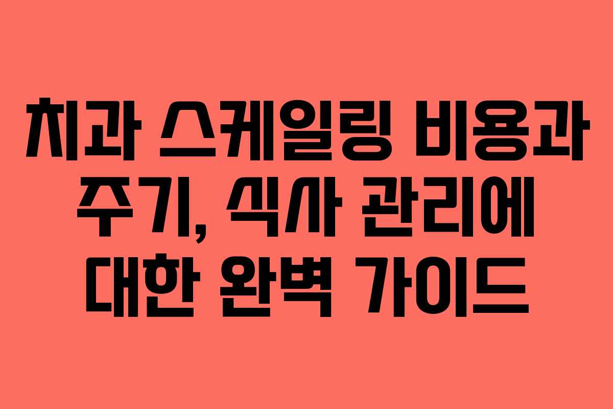 치과 스케일링 비용과 주기, 식사 관리에 대한 완벽 가이드